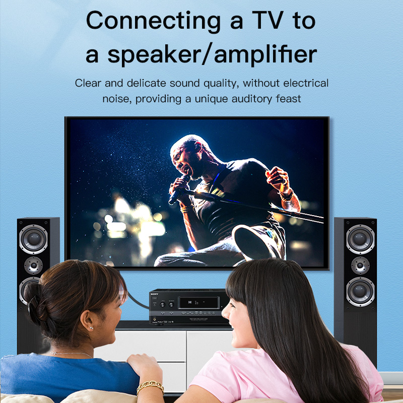 CHOSEAL Cavo RCA Digitale Coas - Home Cinema Ampli recensione e prezzo